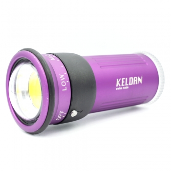 KELDAN TORCHE VIDEO 4 LED   SN:17370456