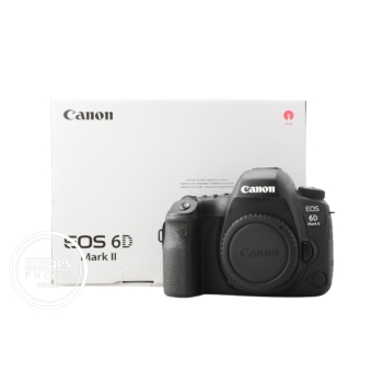 CANON EOS 6D MKII NU (8399 CLICS)
