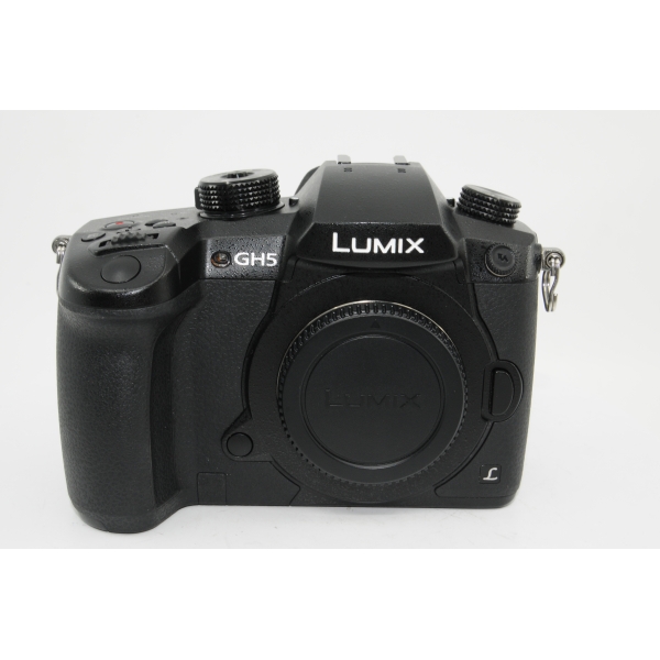 PANASONIC GH5