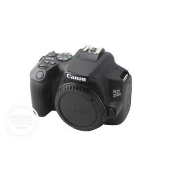 CANON EOS 250D (MOINS DE 22000 CLICS)