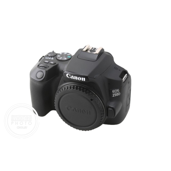 CANON EOS 250D (MOINS DE 22000 CLICS)