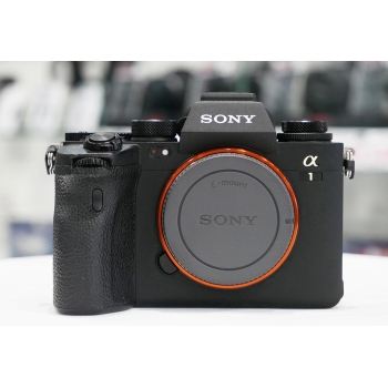SONY ALPHA 1 (3690 clics)
