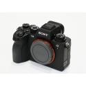 SONY ALPHA 1 (3690 clics)