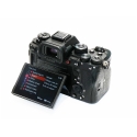 SONY ALPHA 1 (3690 clics)