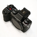 LUMIX S5 (17565 déclenchements)