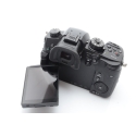 PANASONIC LUMIX GH5