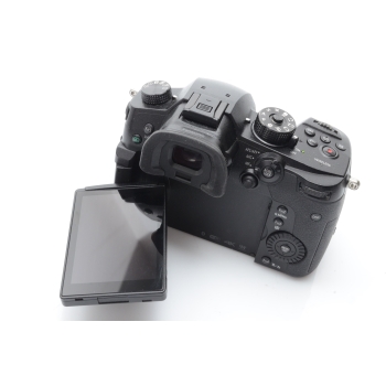 PANASONIC LUMIX GH5