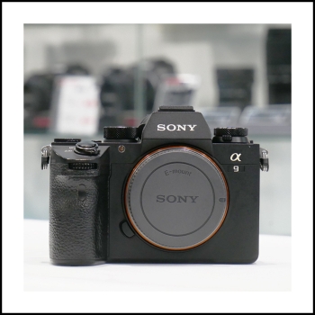 SONY ALPHA 9 (168300 clics)