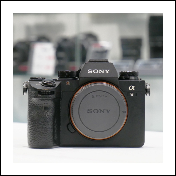 SONY ALPHA 9 (168300 clics)