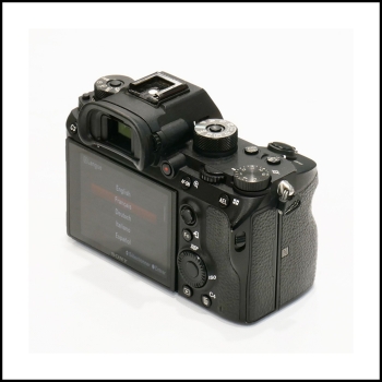 SONY ALPHA 9 (168300 clics)