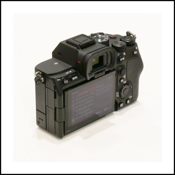 SONY ALPHA 7 IV (1230 clics)