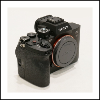 SONY ALPHA 7 IV (1230 clics)