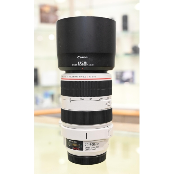 CANON EF 70-300 mm f/4-5,6 L IS USM