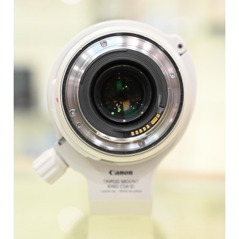 CANON EF 70-300 mm f/4-5,6 L IS USM