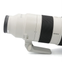 SONY FE 200-600/5.6-6.3 G