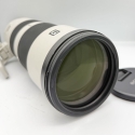 SONY FE 200-600mm f/5.6-6.3 G OSS
