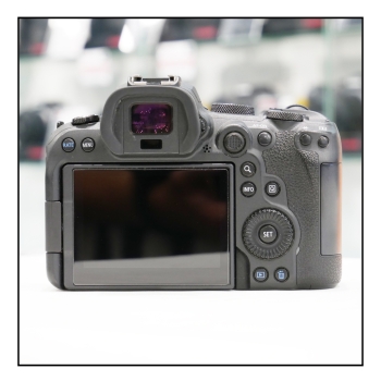 Canon EOS R6 (moins de 12000 déclenchements)
