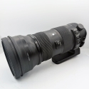 SIGMA 150-600mm f/5-6.3 DN S (NIKON)